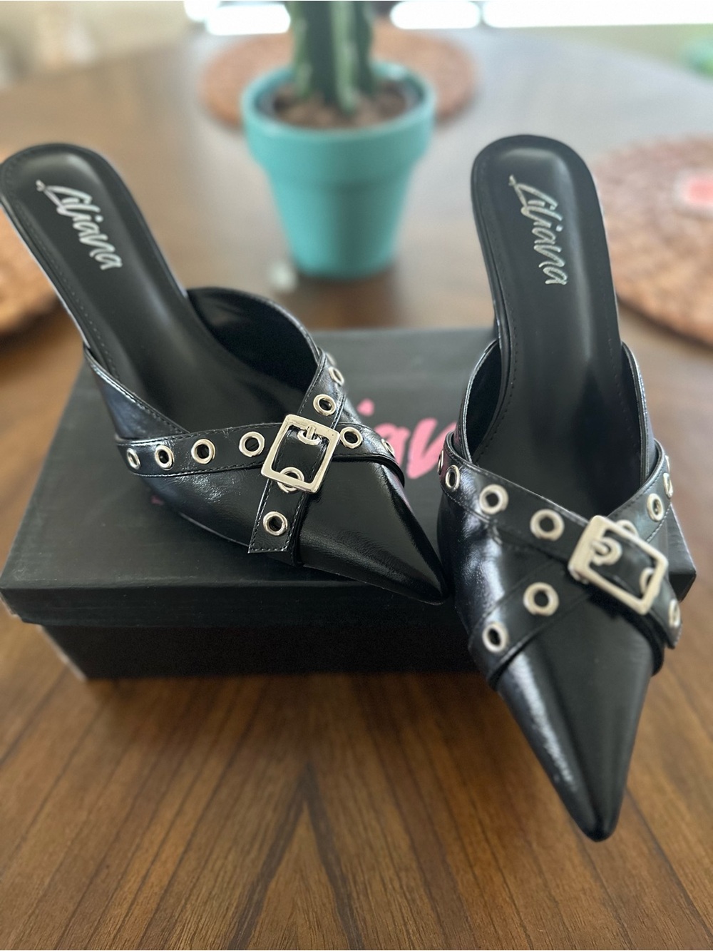 Liliana Black Pointed Buckle Mules